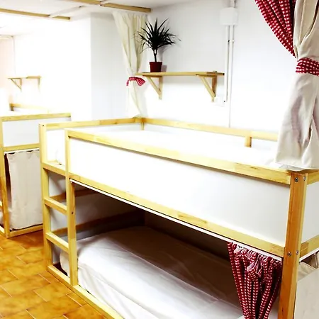 Hostel Picnic Dreams Boutique *